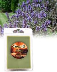 Citrus Sage 6 pack
