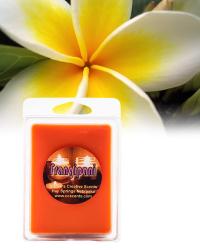 Frangipani 6 pack