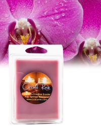 Orchid Rain 6 pack