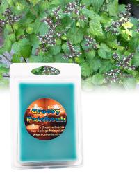 Groovy Patchouli 6 pack